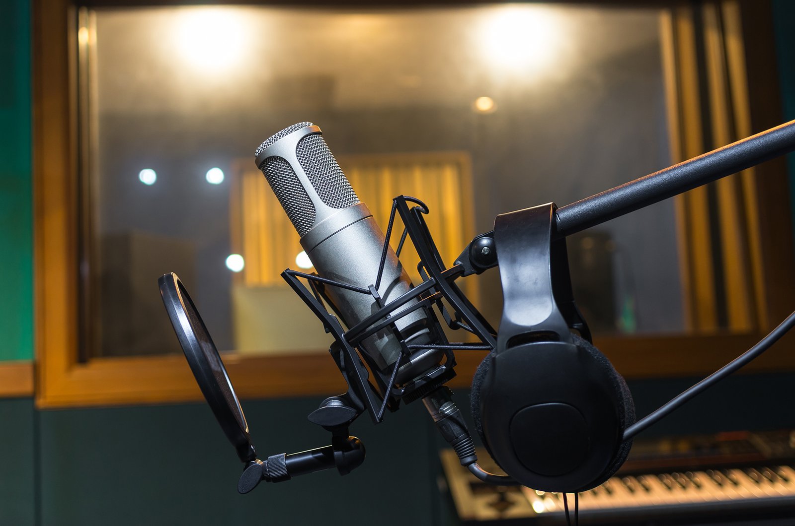professional-condenser-studio-microphone-with-earp-2026-03-10-01-58-52-utc-(1)